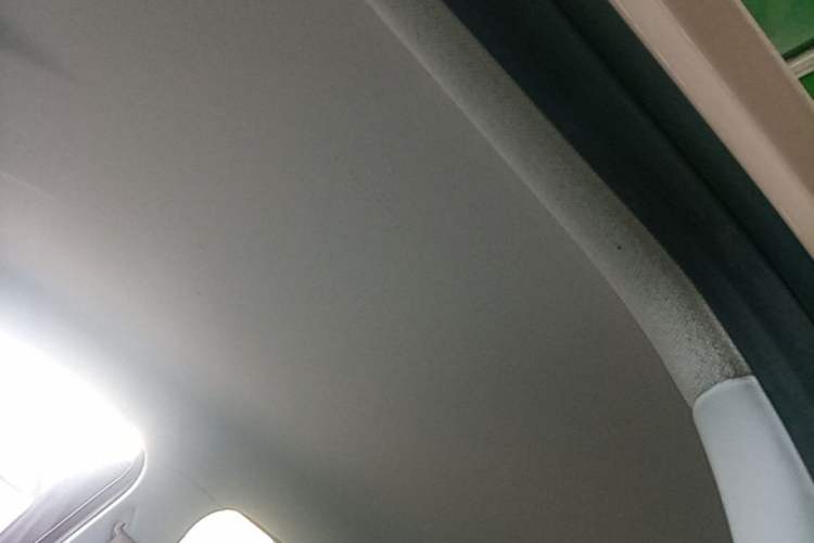Used Leapmotor T03 2023 403 Lite Edition Headliner