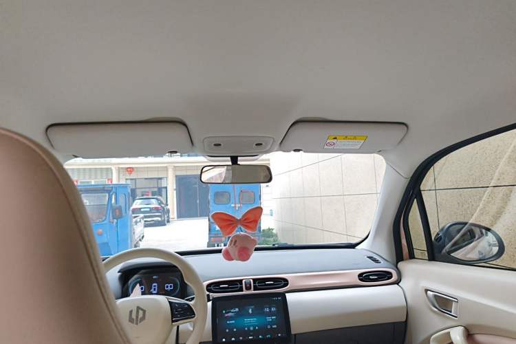 Used Leapmotor T03 2023 310 Lite Edition Headliner