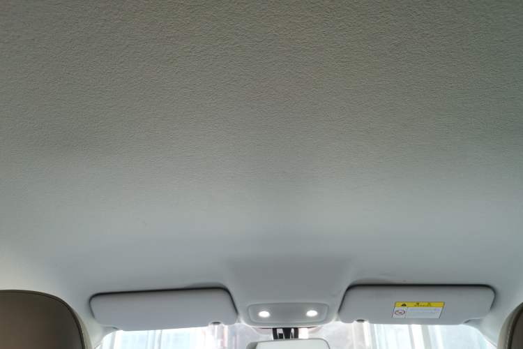 Used Leapmotor T03 2023 310 Lite Edition Headliner