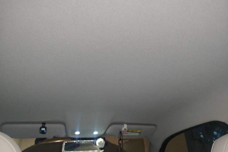 Used Leapmotor T03 2023 310 Lite Edition Headliner