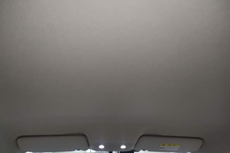 Used Leapmotor T03 2023 403 Lite Edition Headliner