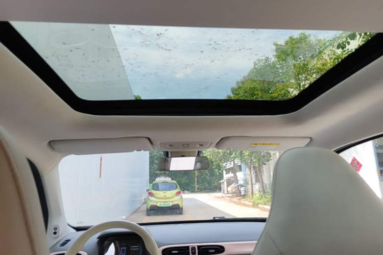 Used Leapmotor T03 2023 403 Smart Edition Headliner