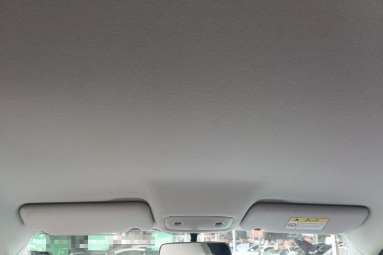 Used Leapmotor T03 2023 310 Lite Edition Headliner