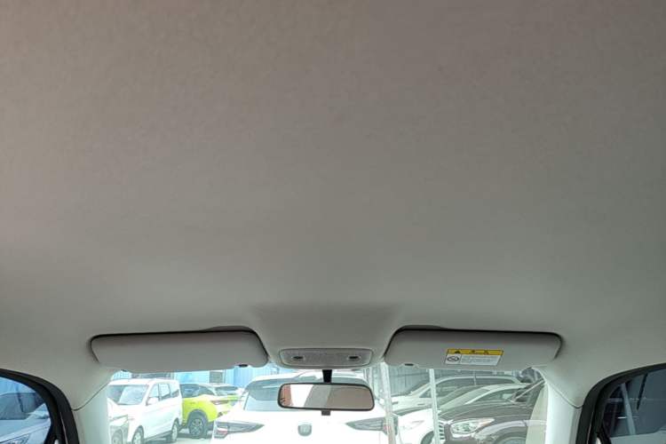 Used Leapmotor T03 2023 200 Lite Edition Headliner