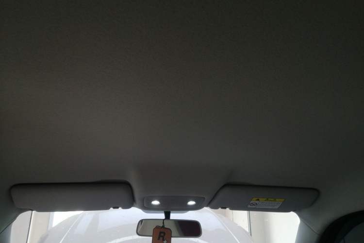 Used Leapmotor T03 2023 310 Lite Edition Headliner