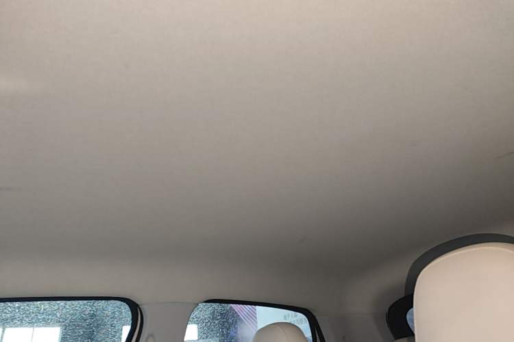 Used Leapmotor T03 2023 310 Lite Edition Headliner