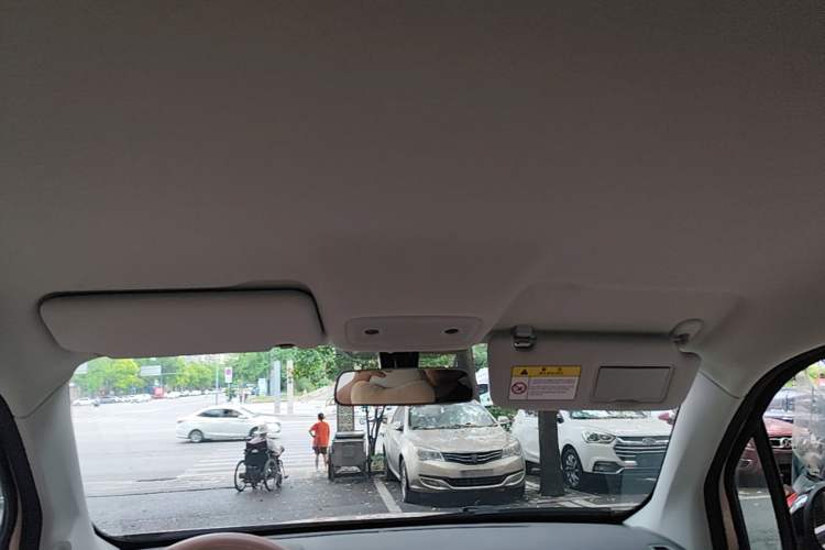 Used Leapmotor T03 2023 310 Lite Edition Headliner