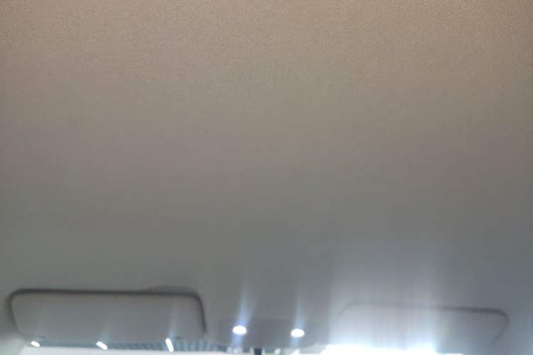 Used Leapmotor T03 2023 310 Lite Edition Headliner