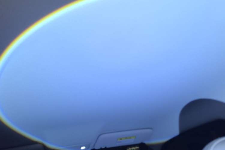 Used Leapmotor T03 2023 403 Lite Edition Headliner