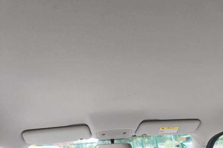 Used Leapmotor T03 2023 200 Lite Edition Headliner