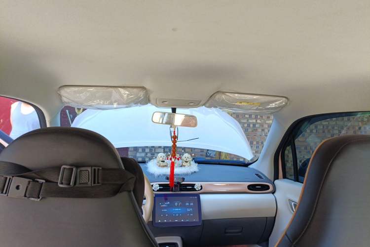 Used Leapmotor T03 2023 200 Lite Edition Headliner