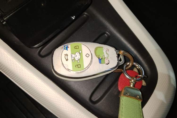 Used Leapmotor T03 2023 310 Lite Edition Interior 1
