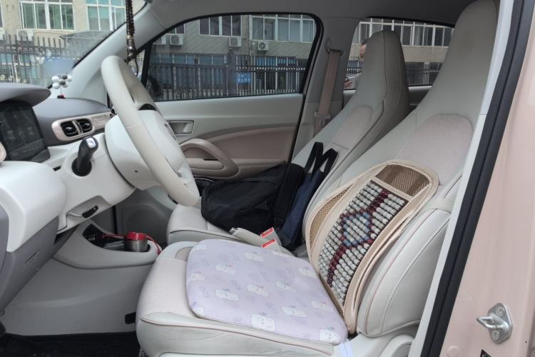 Used Leapmotor T03 2023 200 Lite Edition Left Front Seat