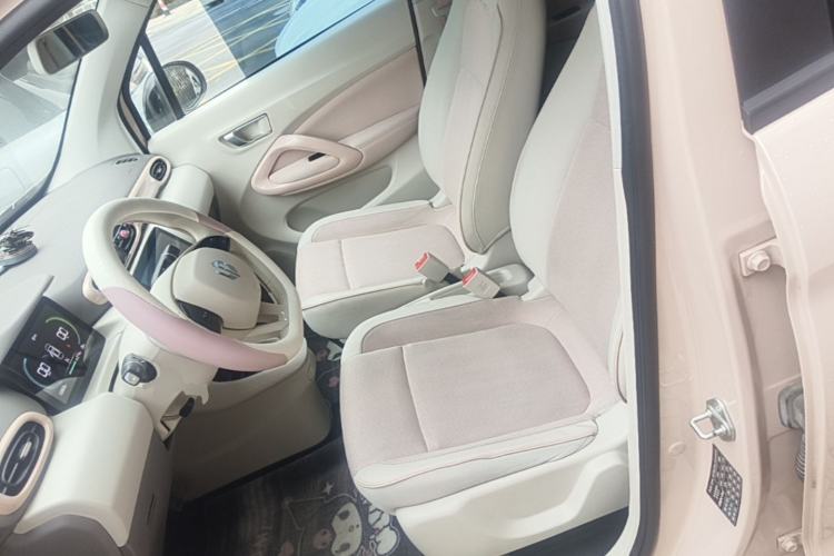Used Leapmotor T03 2023 310 Lite Edition Left Front Seat