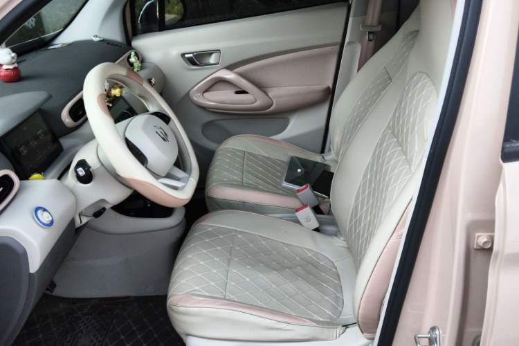 Used Leapmotor T03 2023 403 Lite Edition Left Front Seat