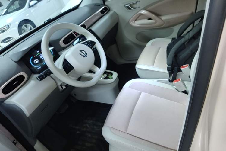 Used Leapmotor T03 2023 310 Lite Edition Left Front Seat