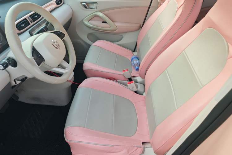 Used Leapmotor T03 2023 310 Lite Edition Left Front Seat
