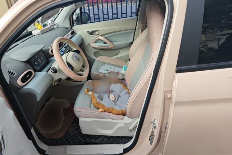Used Leapmotor T03 2023 310 Lite Edition Left Front Seat