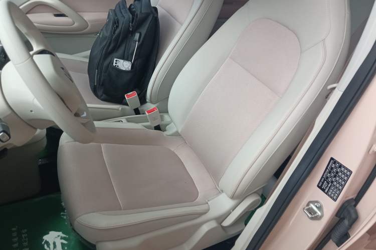 Used Leapmotor T03 2023 310 Lite Edition Left Front Seat