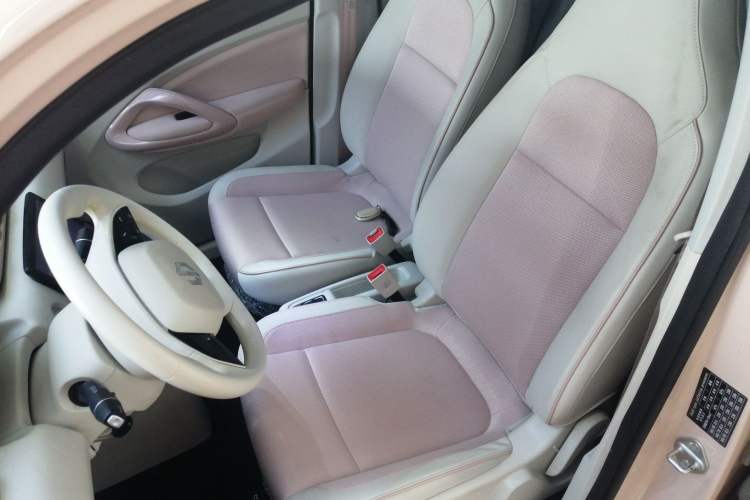 Used Leapmotor T03 2023 310 Lite Edition Left Front Seat