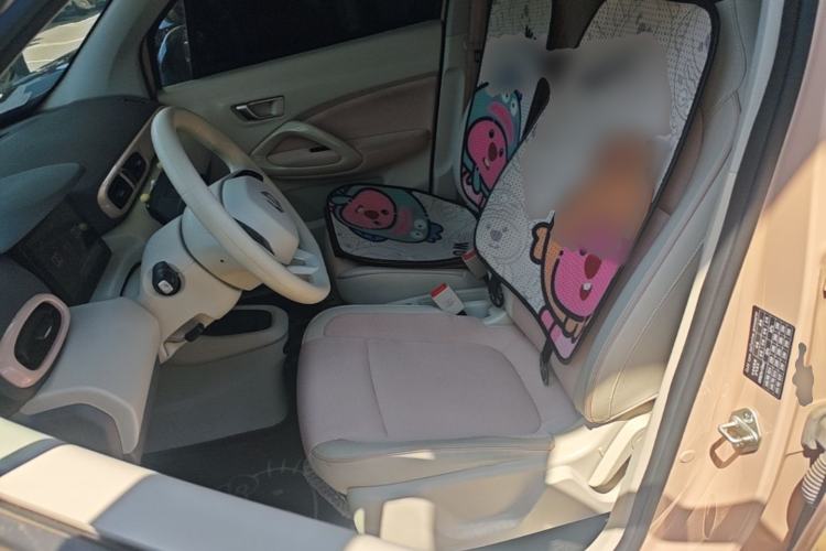 Used Leapmotor T03 2023 310 Lite Edition Left Front Seat
