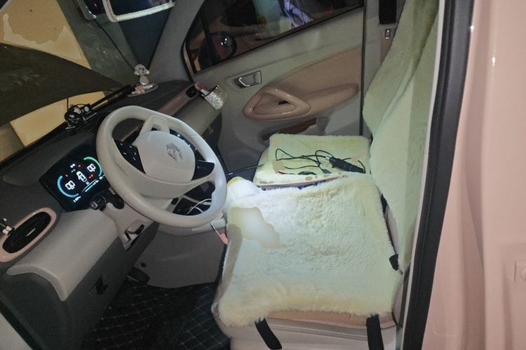 Used Leapmotor T03 2023 310 Lite Edition Left Front Seat