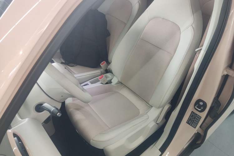 Used Leapmotor T03 2023 310 Lite Edition Left Front Seat