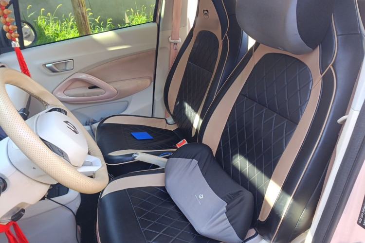 Used Leapmotor T03 2023 200 Lite Edition Left Front Seat