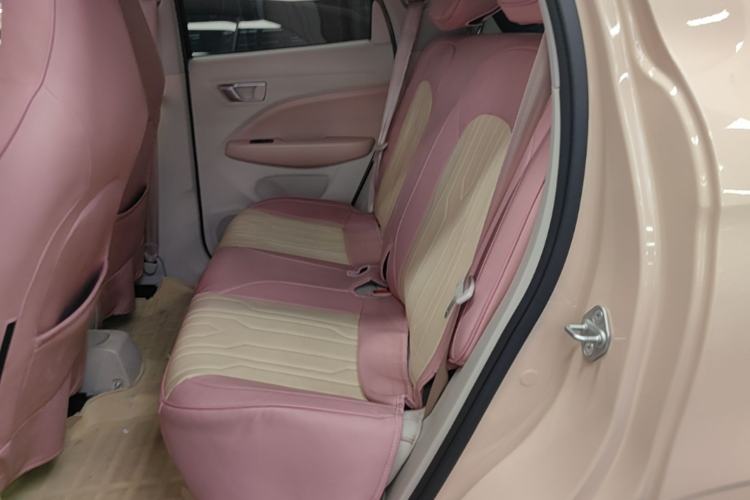 Used Leapmotor T03 2023 200 Lite Edition Left Rear Seat