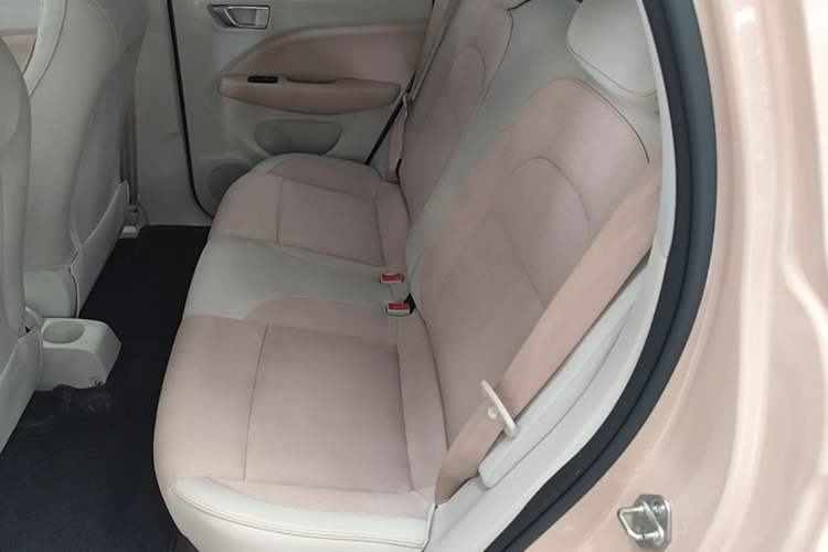 Used Leapmotor T03 2023 310 Lite Edition Left Rear Seat