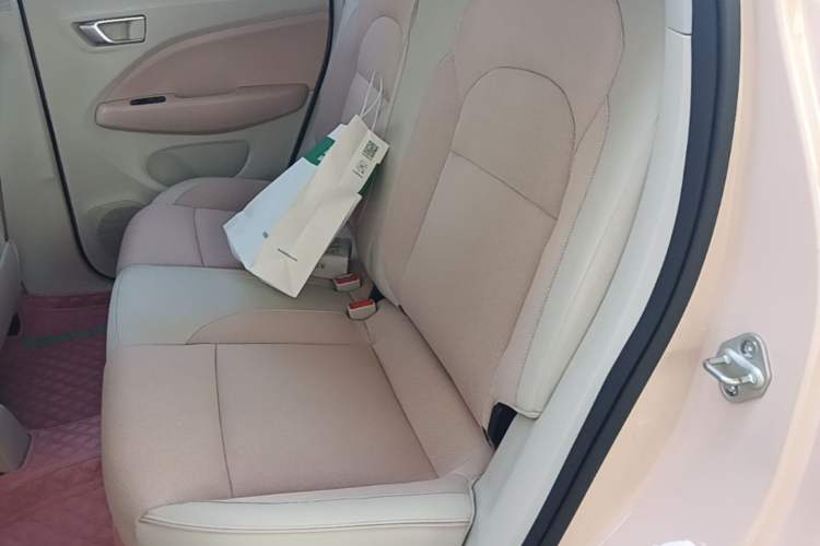 Used Leapmotor T03 2023 200 Lite Edition Left Rear Seat