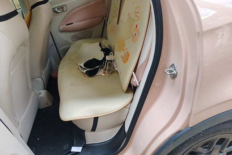Used Leapmotor T03 2023 310 Lite Edition Left Rear Seat