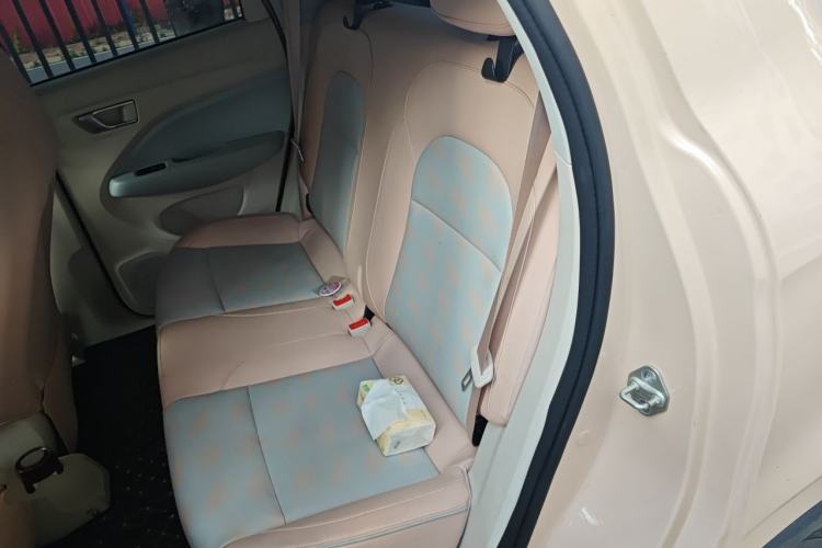 Used Leapmotor T03 2023 310 Lite Edition Left Rear Seat