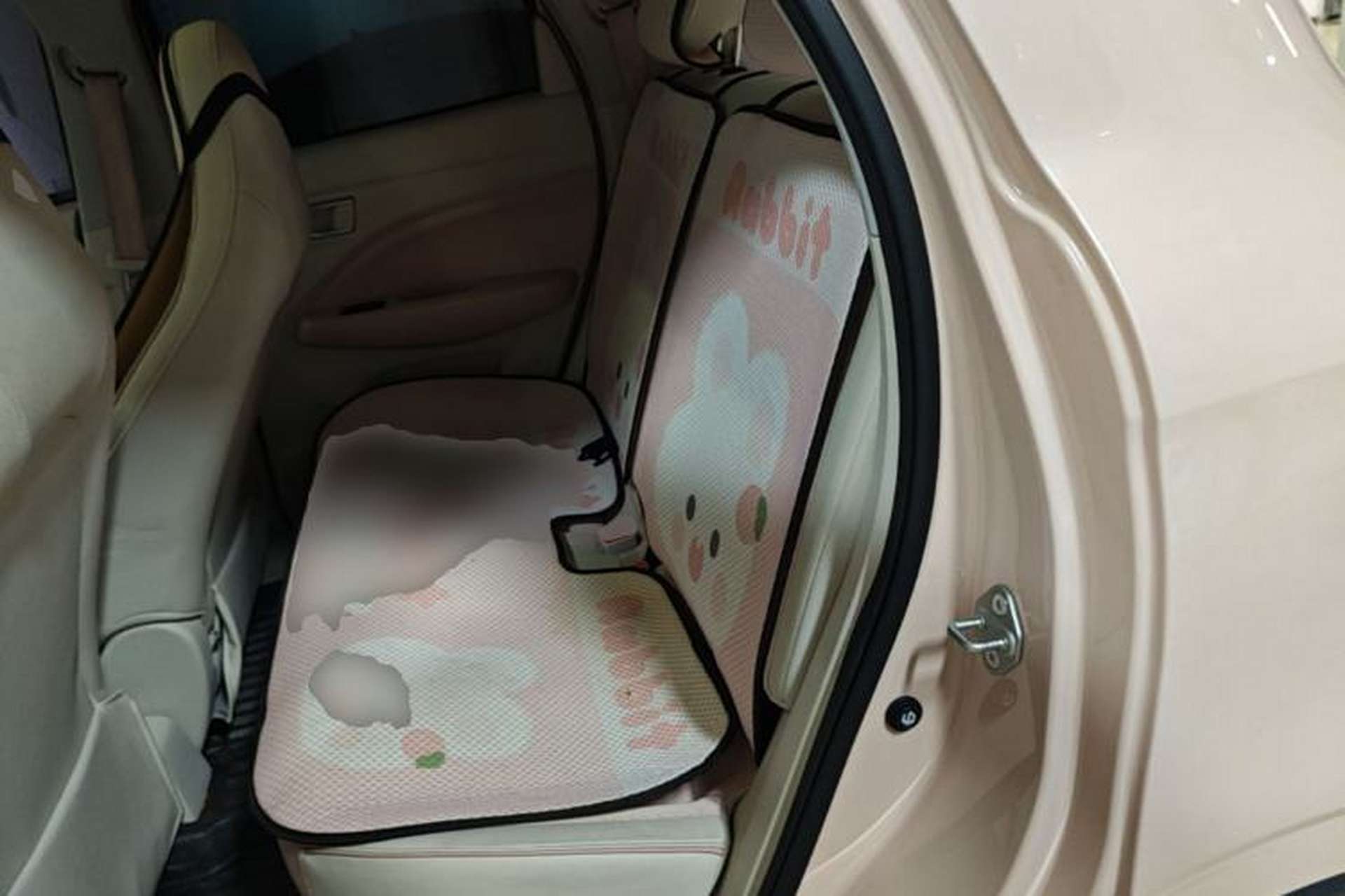 Used Leapmotor T03 2023 403 Smart Edition Left Rear Seat
