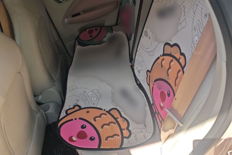 Used Leapmotor T03 2023 310 Lite Edition Left Rear Seat