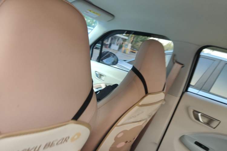 Used Leapmotor T03 2023 310 Lite Edition Headliner
