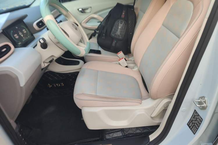 Used Leapmotor T03 2023 310 Lite Edition Left Front Seat