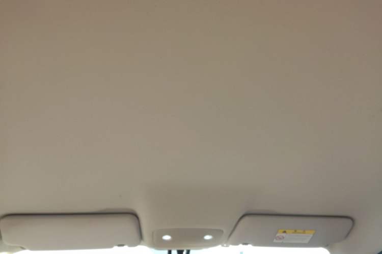 Used Leapmotor T03 2023 200 Lite Edition Headliner