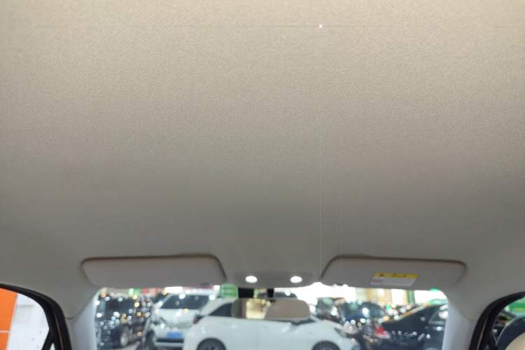 Used Leapmotor T03 2023 200 Lite Edition Headliner