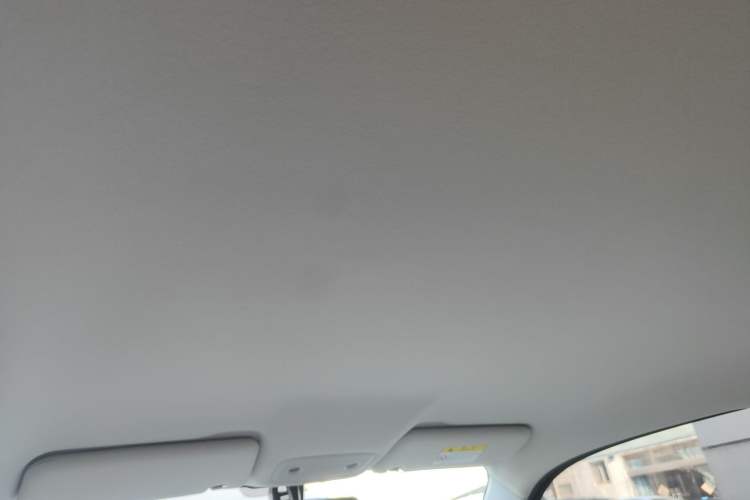 Used Leapmotor T03 2023 200 Lite Edition Headliner