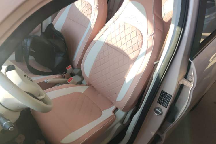 Used Leapmotor T03 2023 200 Lite Edition Left Front Seat