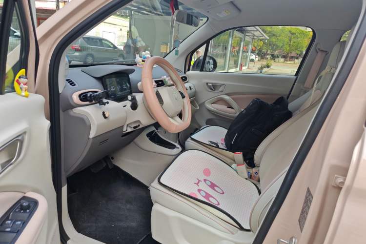 Used Leapmotor T03 2023 310 Lite Edition Left Front Seat