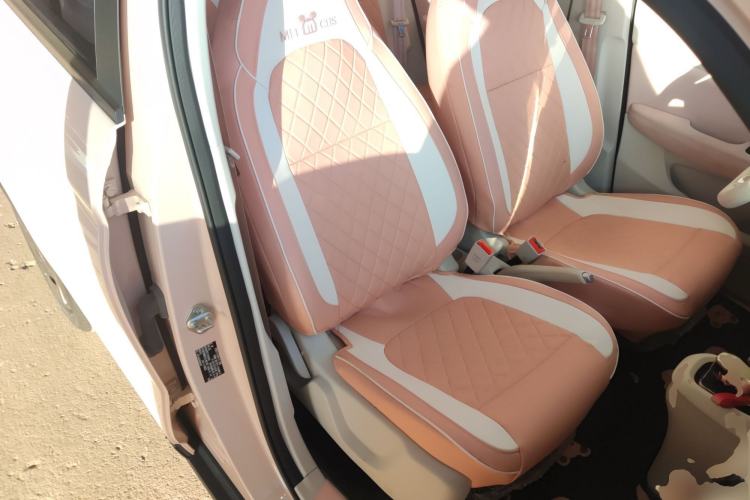 Used Leapmotor T03 2023 200 Lite Edition Right Front Seat