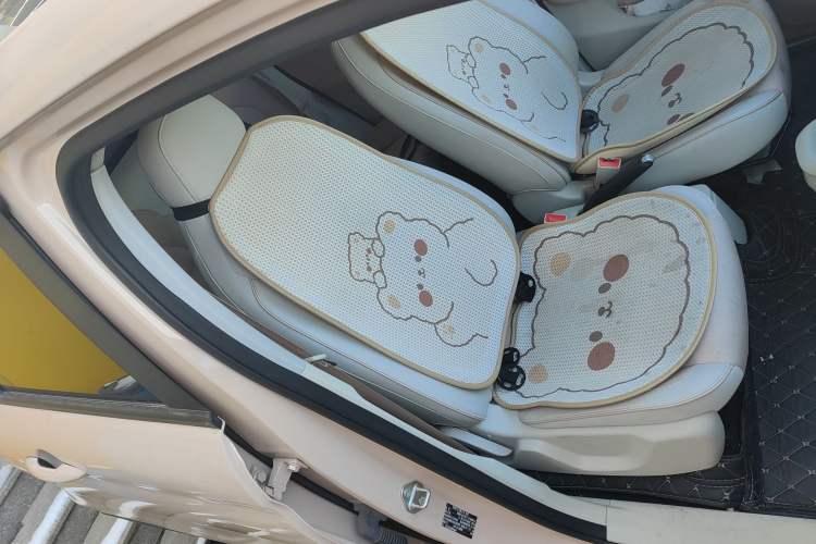 Used Leapmotor T03 2023 200 Lite Edition Right Front Seat