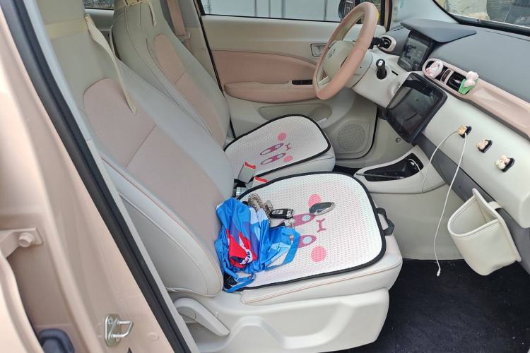Used Leapmotor T03 2023 310 Lite Edition Right Front Seat