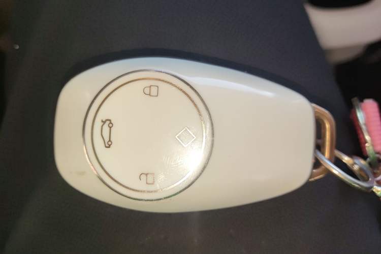 Used Leapmotor T03 2023 200 Lite Edition Vehicle Key
