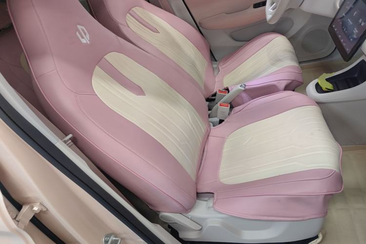 Used Leapmotor T03 2023 200 Lite Edition Right Front Seat