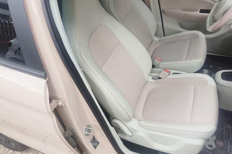 Used Leapmotor T03 2023 310 Lite Edition Right Front Seat