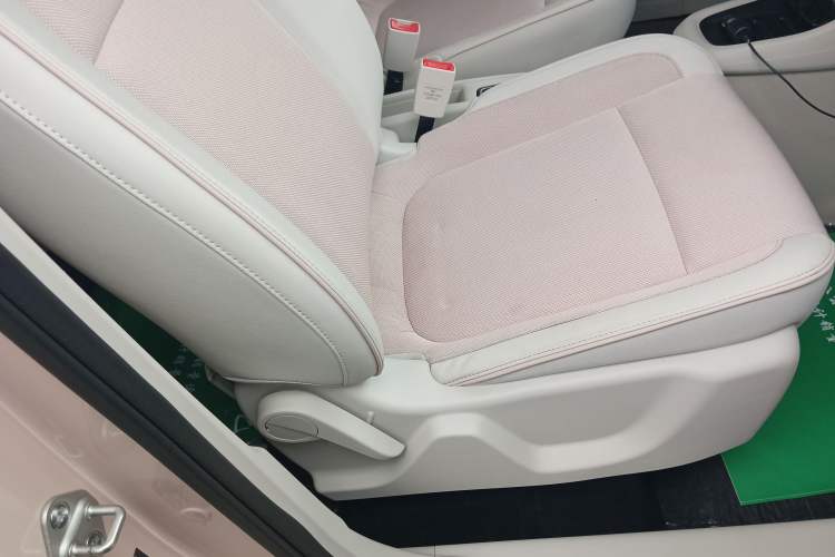 Used Leapmotor T03 2023 310 Lite Edition Right Front Seat