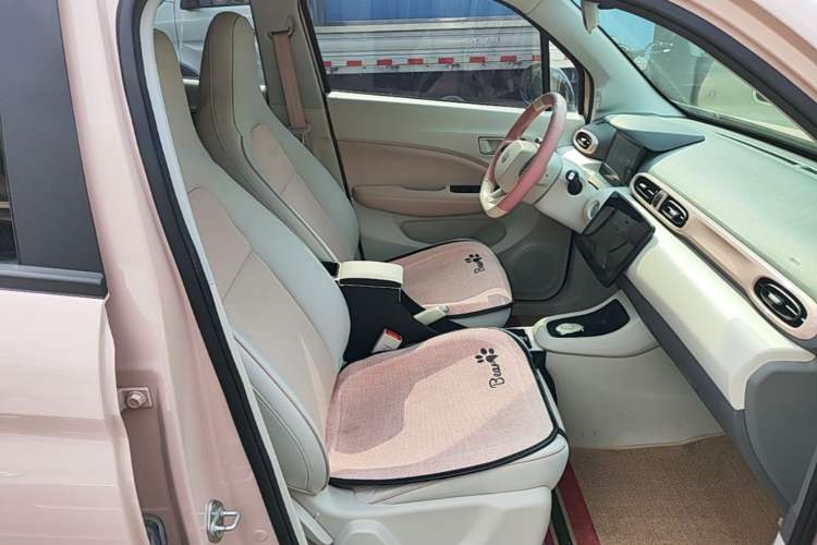 Used Leapmotor T03 2023 200 Lite Edition Right Front Seat